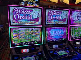bet59522